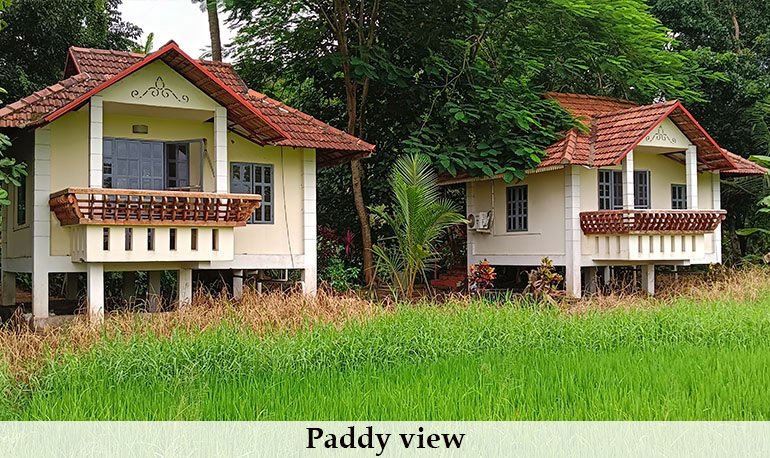 Honeymoon Rooms